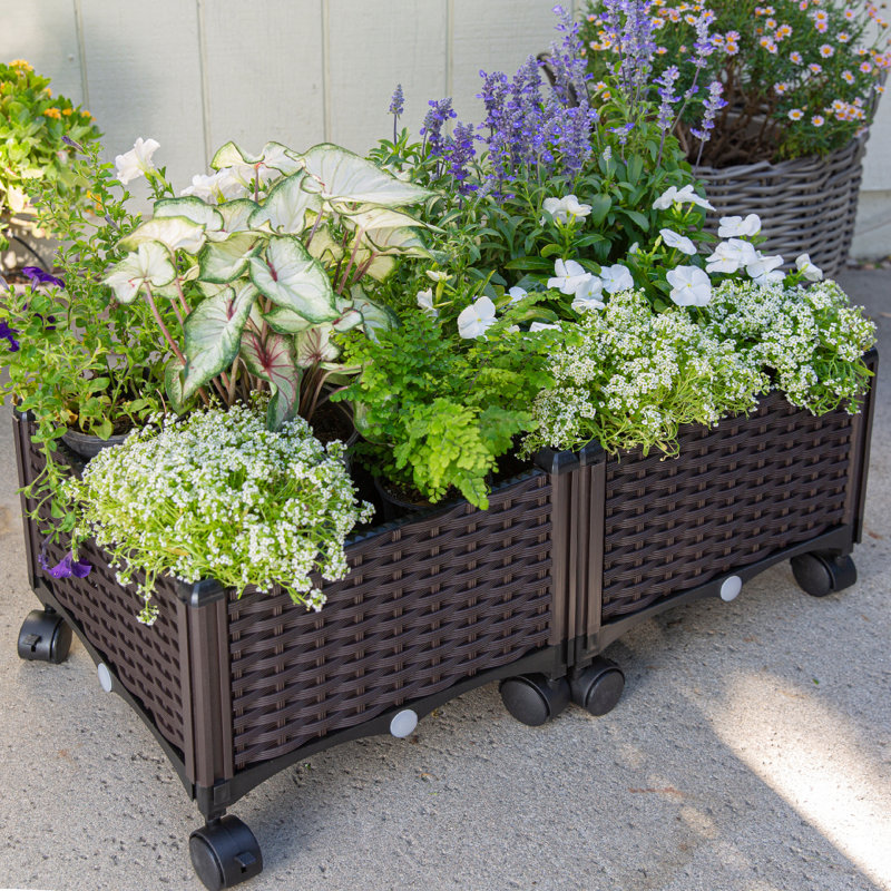 Sol 72 Outdoor™ Boerner Raised Garden Bed & Reviews Wayfair